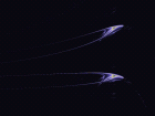 thumbs/flying2.png