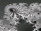 thumbs/images_in_black_2.png
