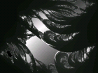 thumbs/images_in_black_9.png